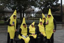 2024 02 13 Mardi Gras NOLA (1003).JPG